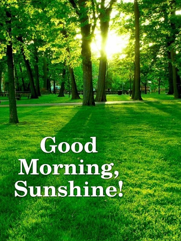 Beautiful Good Morning Sunshine Image.
