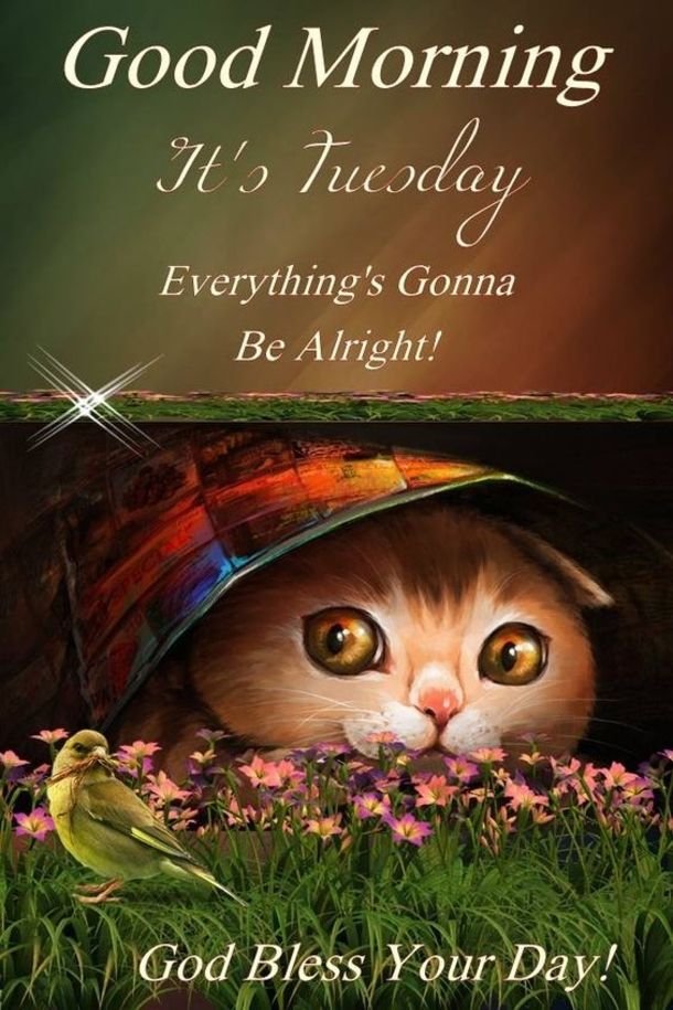 Blessed Good Morning Tuesday Greeting