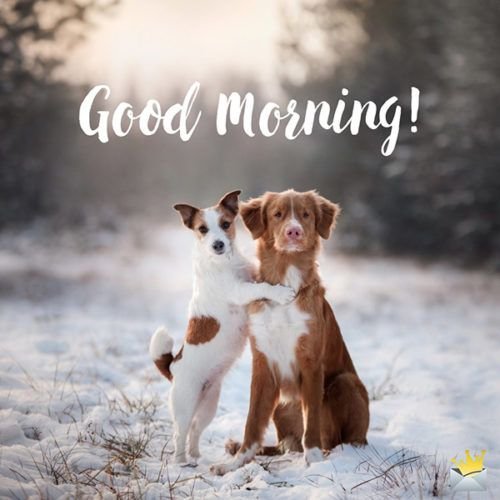 Cute Good Morning