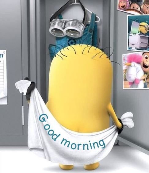 Funny morning pic
