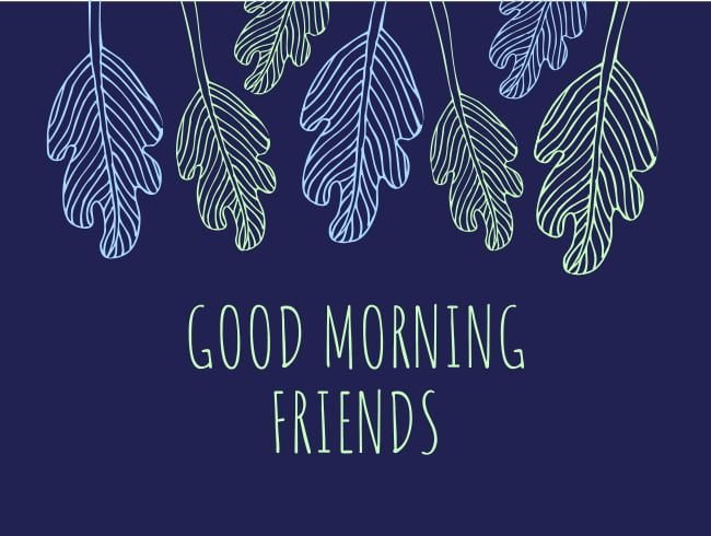 Good Morning Friends