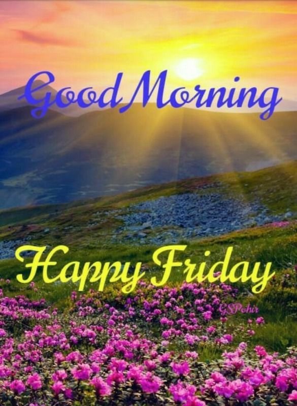 Good Morning! Happy Friday!!