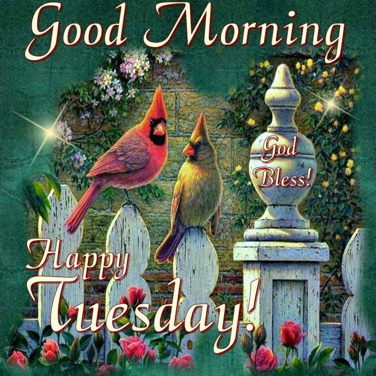 Good Morning!! Happy Tuesday