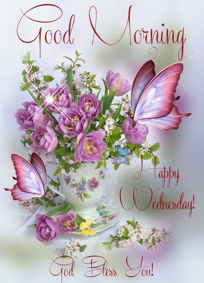 Good Morning Happy Wednesday. God Bless You!