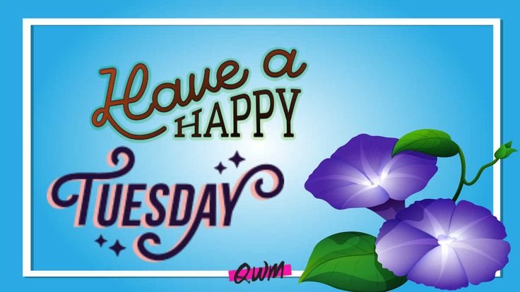 Good Morning! Have a Happy Tuesday!