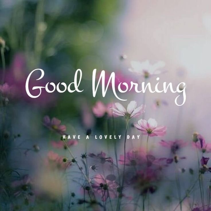 Good Morning! Have a Lovely Day.