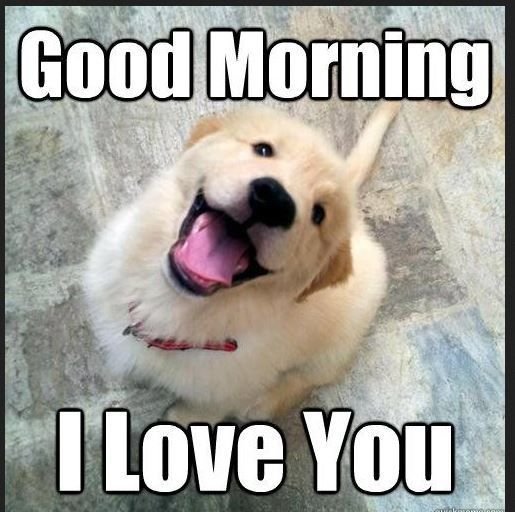 Good Morning I Love You