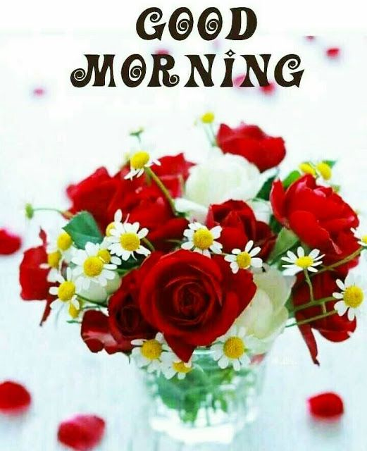 Good Morning Image with Rose Flowers