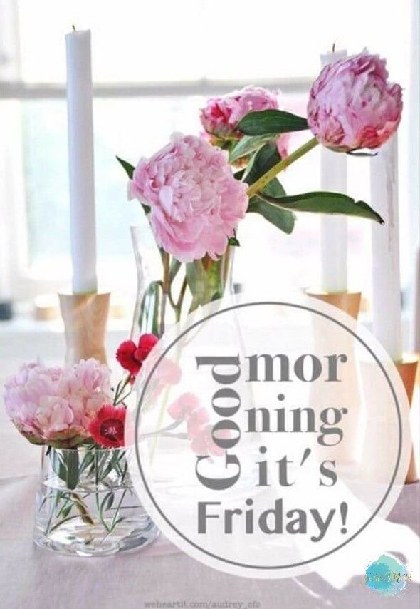 Good Morning it's Friday!
