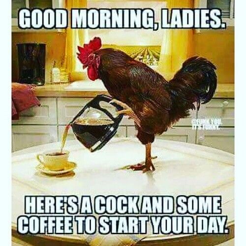 Good Morning Ladies