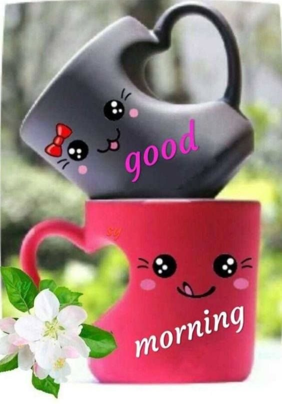 Good Morning Love