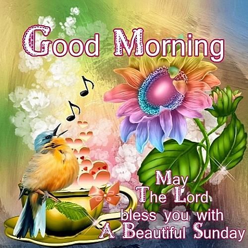 Good Morning, May The Lord bless you with A Beautiful Sunday.