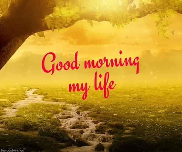 Good Morning my life Message For Husband