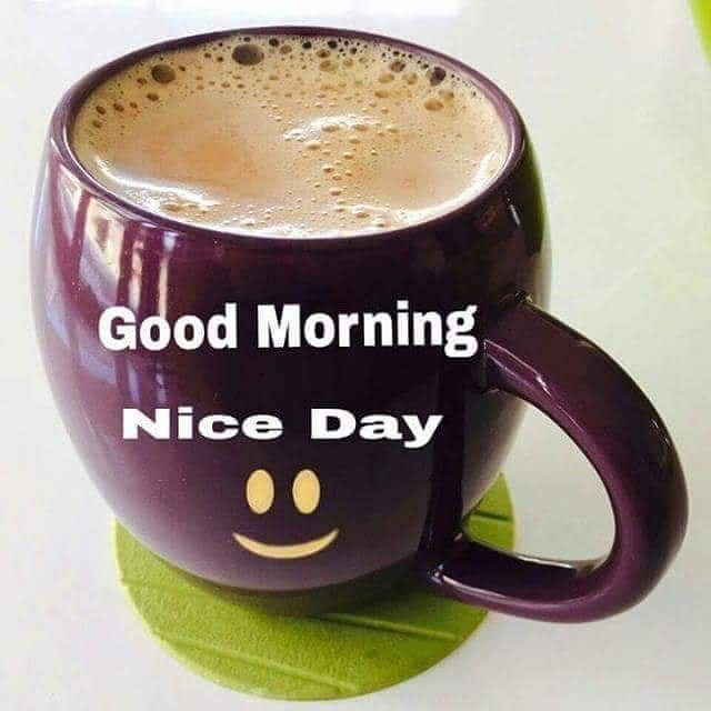Good Morning Nice Day