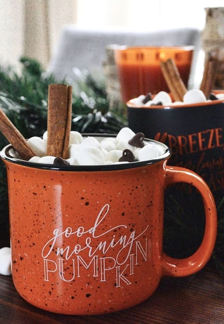 Good Morning Pumpkin Campfire Mug