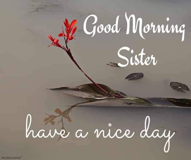 Good Morning Sister! Have a Nice Day.