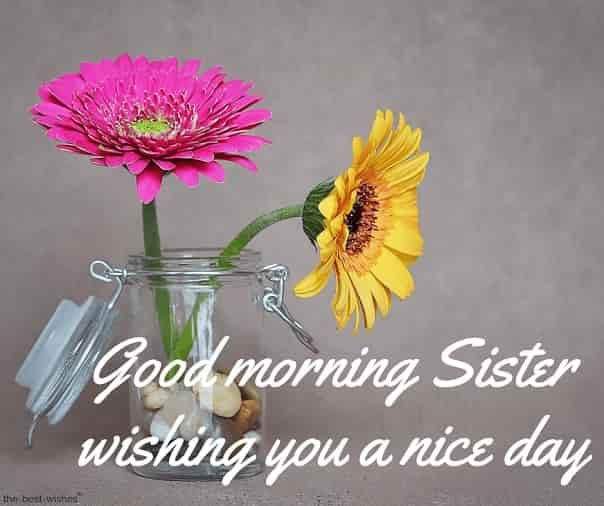 Good Morning Sister wishing you a Nice Day.