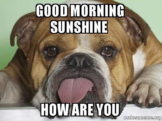 Good Morning Sunshine