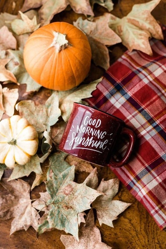 Good Morning Sunshine Campfire Mug