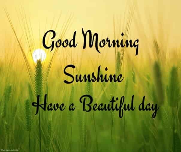 Good Morning Sunshine have a Beautiful Day
