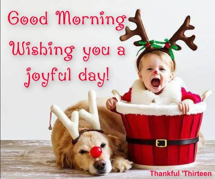 Good Morning Wishing you A Joyful Day