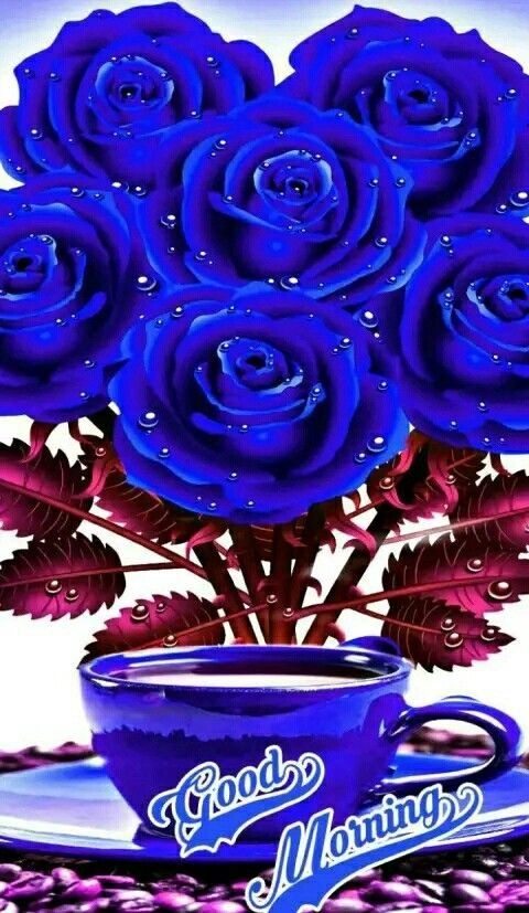 Good Morning With Blue Roses