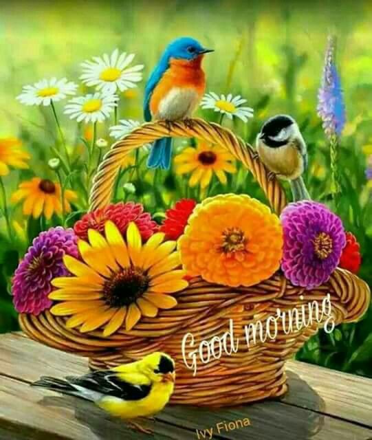 Good Morning With Colorful Birds And Flowers