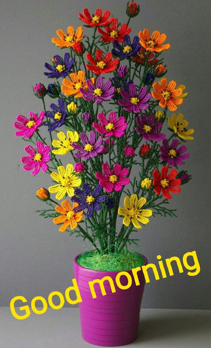 Good Morning With Colorful Flowers