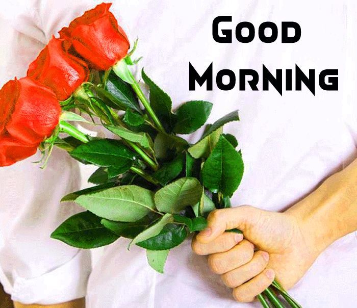 Good morning with Red Roses
