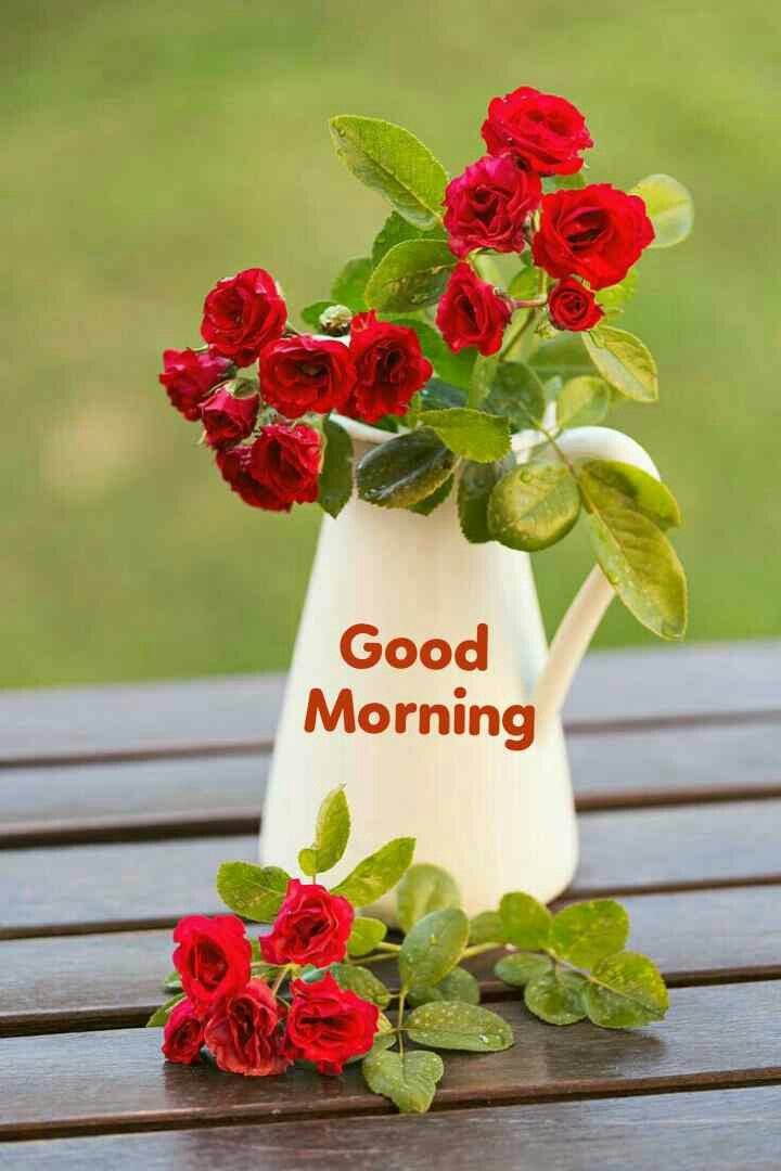 110 Good Morning Flowers Greetings