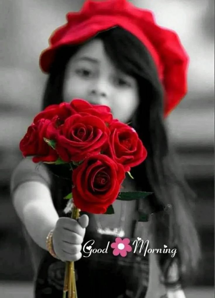 Good Morning With Roses