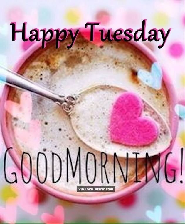 Happy Tuesday! Good Morning!!!