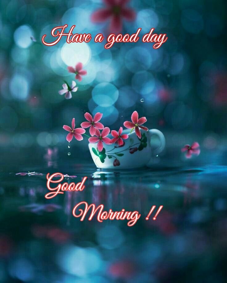 Have a Good Day. Good Morning!