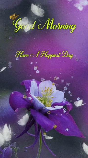 Have A Happiest Day