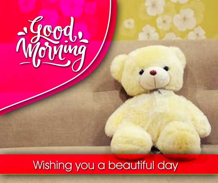 Have a Lovely Day Teddy. Good Morning!