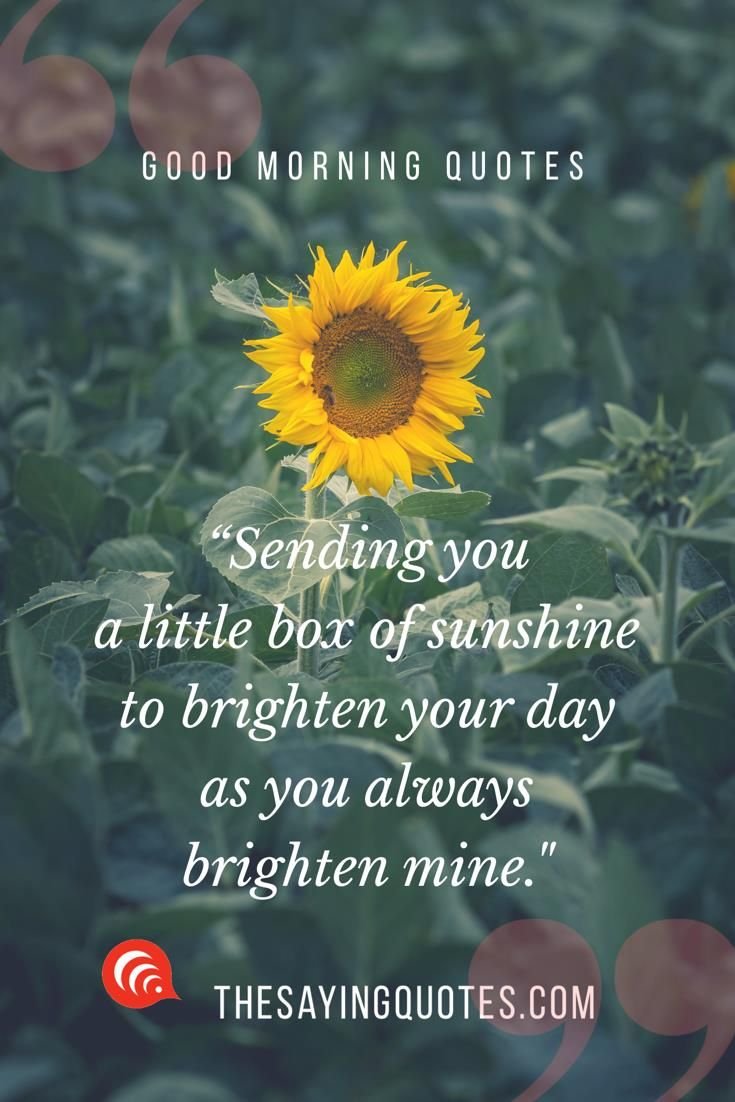 Inspirational Good Morning Quote with Beautiful Image