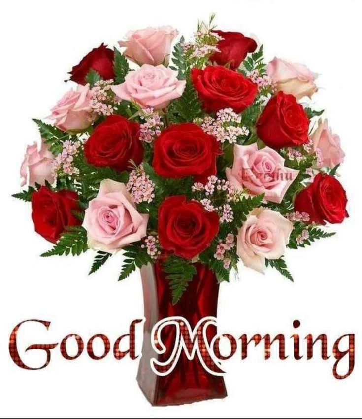 Lovely Good Morning with Red Pink Roses Picture