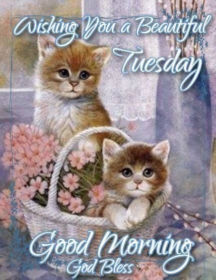 Wishing You a Beautiful Tuesday. Good Morning!!