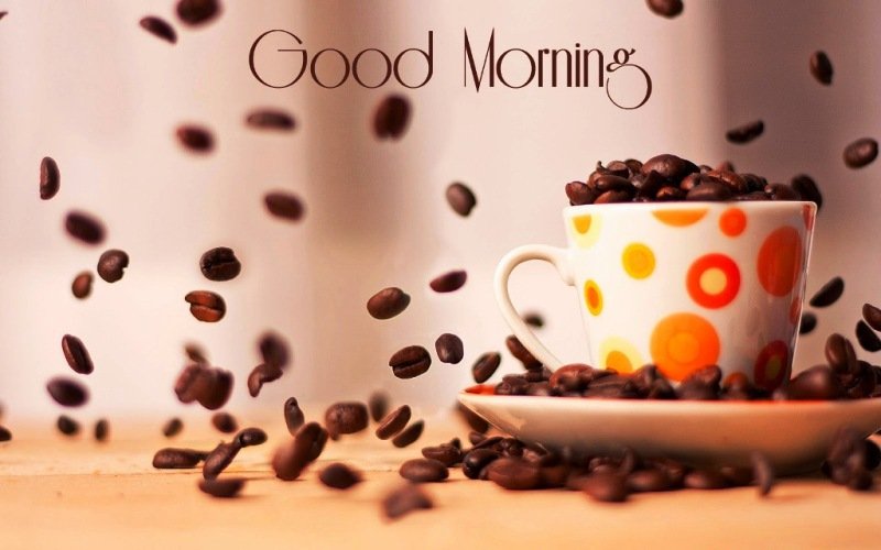 Adorable Pic Of Good Morning