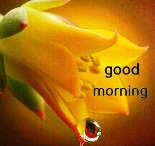 Amazing Good Morning Image