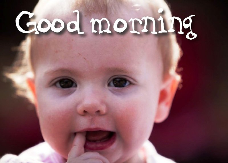Awesome Good Morning Pic