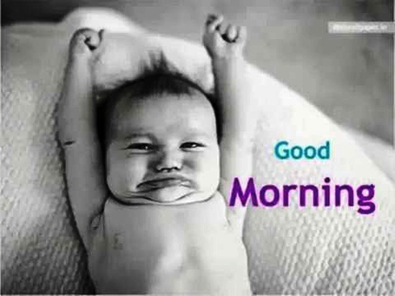 Cute Funny Good Morning