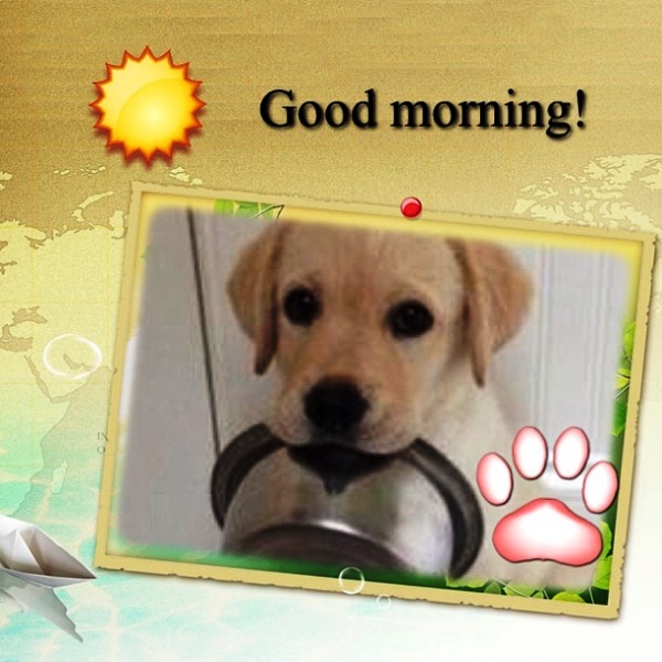 Cute Pic Of Good Morning