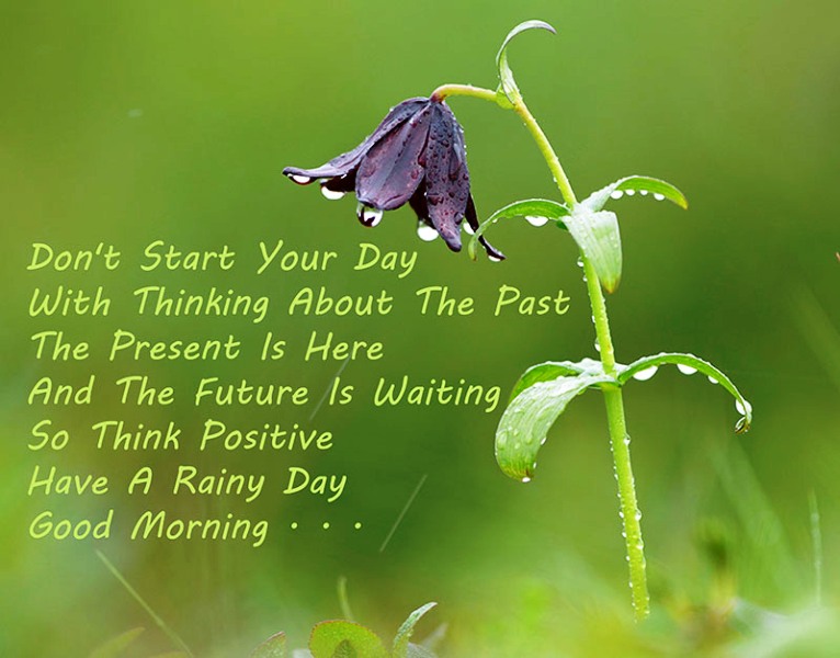 Don't Start Your Day With Thinking About The Past
