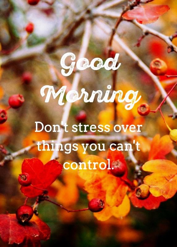 Dont Stress Over Things You Cant Control
