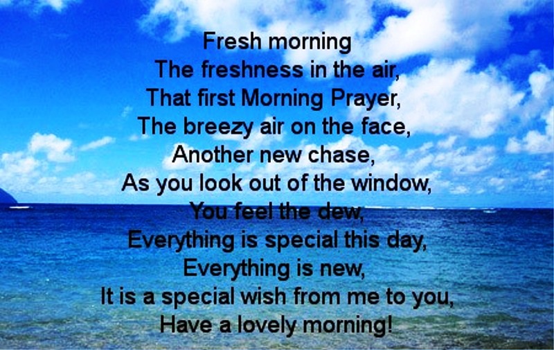 Fresh Morning The Freshness In The Air