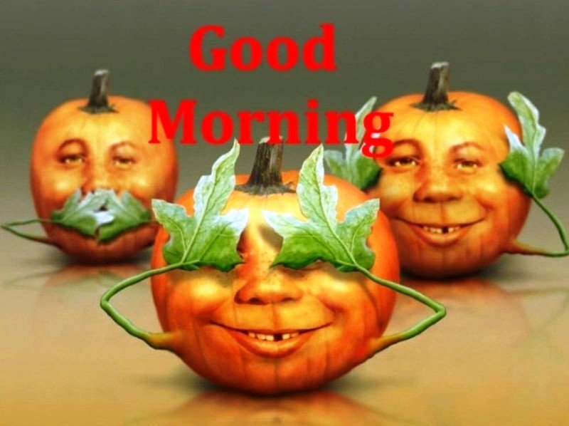 Funny Good Morning Image