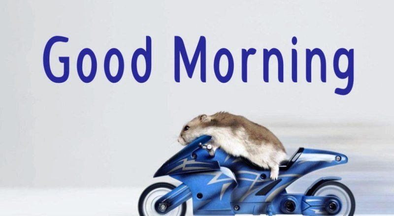 Good Morning