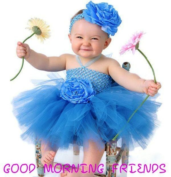 Good Morning Friends