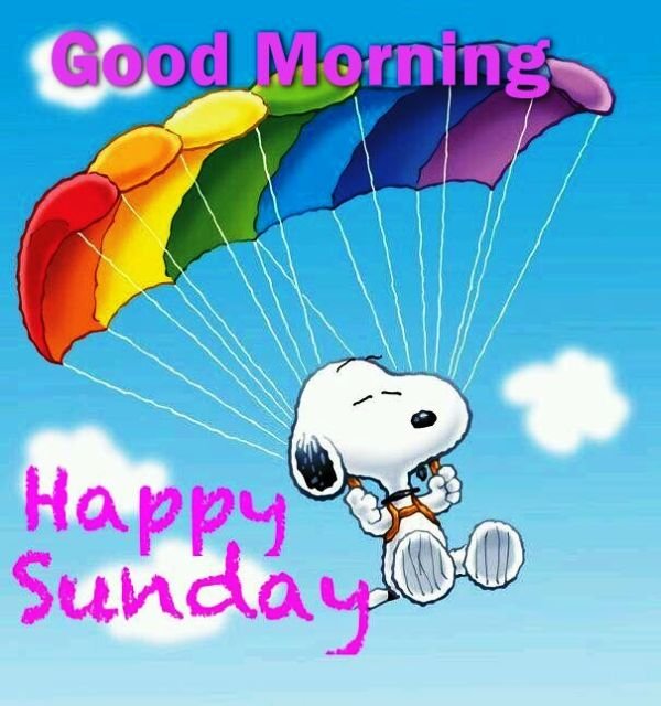 Good Morning Happy Sunday